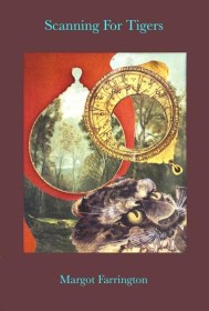 Scanning For Tigers book cover photo